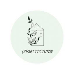 Domestic Tutor Logo